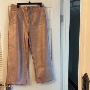 Anthropologie Faux Leather Wide-Leg Pants in Dusty Rose